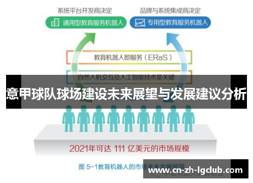 意甲球队球场建设未来展望与发展建议分析