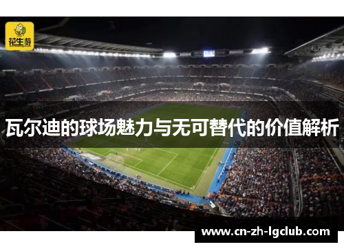 瓦尔迪的球场魅力与无可替代的价值解析